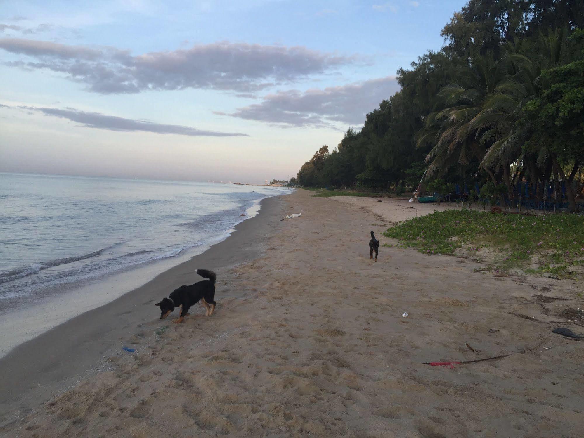 Tree Roots Retreat Hotel Rayong Luaran gambar